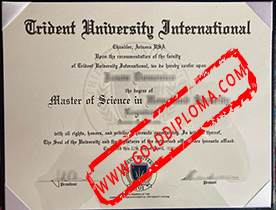 Trident University International fake diploma