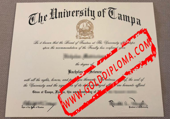 University of Tampa fake diploma