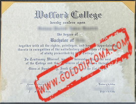 Wofford College fake degree