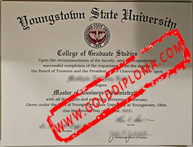 Youngstown State University fake degree