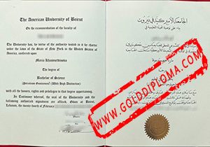 American University of Beirut fake degree