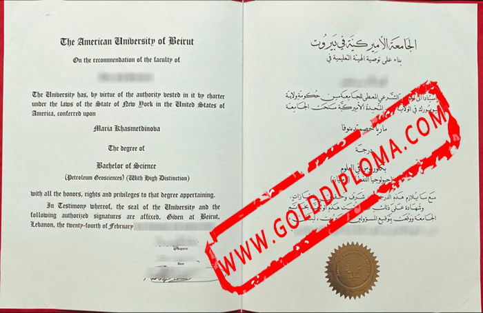 American University of Beirut fake degree